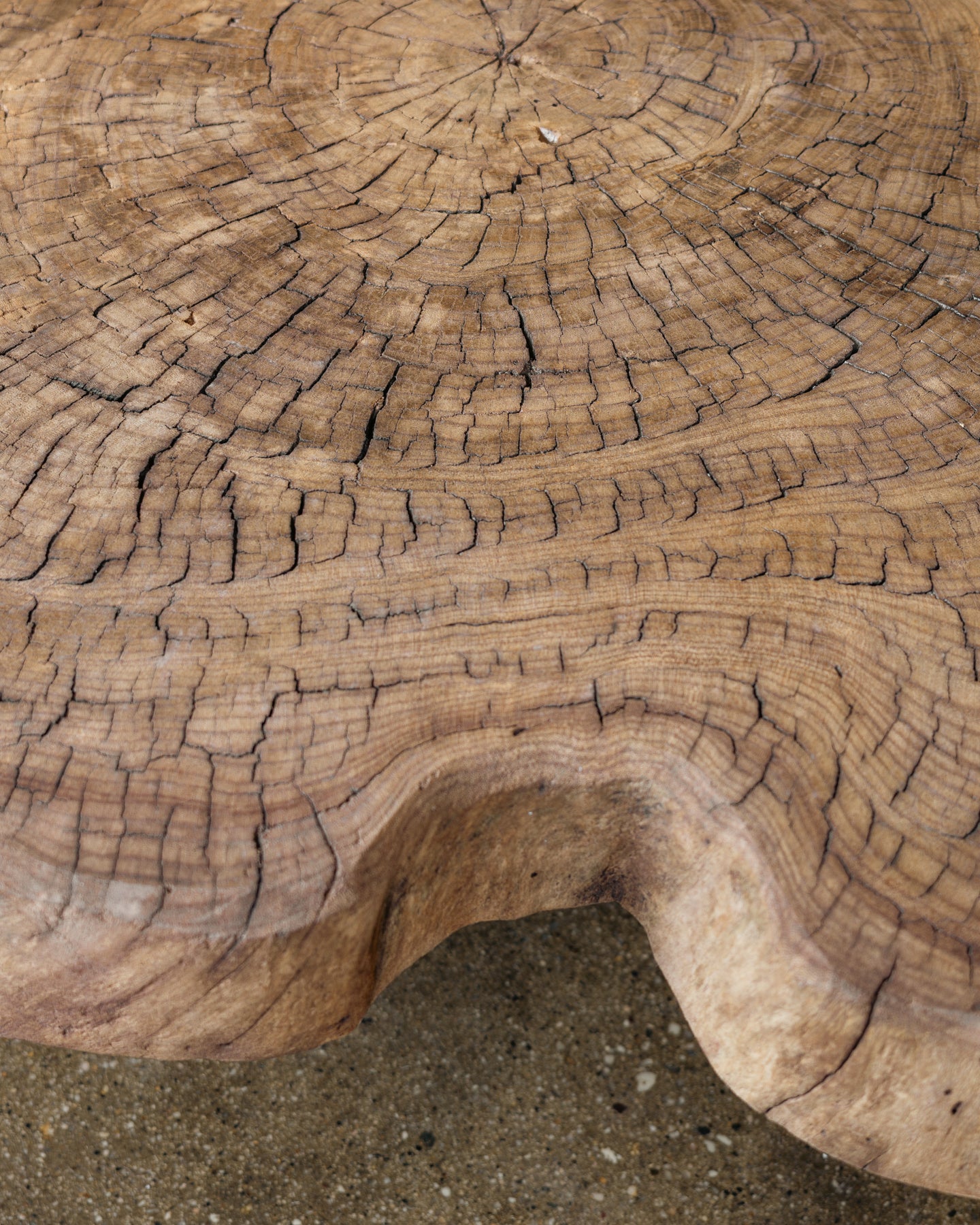 French Slab Wooden Coffee Table, Early 20th Century